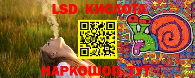 стафф Заводоуковск