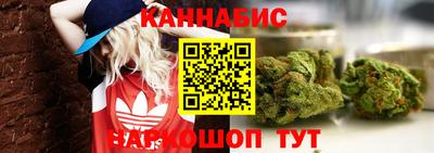 Альфа ПВП Заволжье